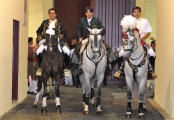 Grande noite de toiros na Monumental do Campo Pequeno